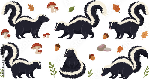 Flat vector illustration set of cute skunks in various poses including sitting and walking with forest elements like mushrooms acorns and leaves on white background