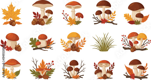 Autumn Forest Mushroom and Fall Leaves Vector Collection Featuring Wild Fungi, Acorns, Branches, Grass, and Seasonal Woodland Botanical Elements