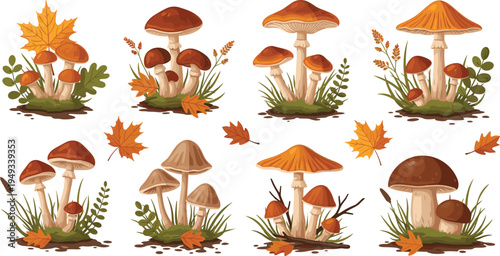 Autumn Forest Mushroom Collection Vector Illustration Set with Wild Fungi Growing in Grass and Fallen Maple Leaves Woodland Botanical Elements
