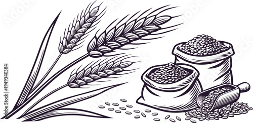 A detailed illustration in a vintage engraving style showcasing various elements associated with agriculture. Several wheat stalks and bundles of wheat are depicted alongside bags and scoops of grains