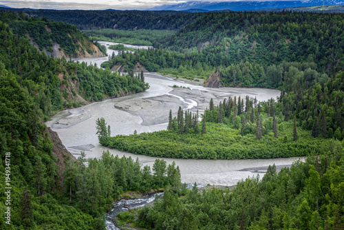 Braided glacial river flowing through lush valley in Denali National Park, Alaska