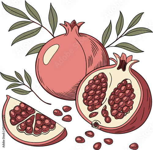 A detailed illustration of pomegranates, set against a plain white background. The image showcases three whole pomegranates and two halved, cut open pomegranates, revealing the juicy, red seeds. The w