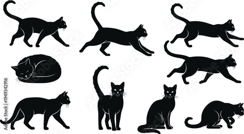 Black cat silhouette collection featuring various poses including walking, sitting, stretching and sleeping, domestic feline animal illustration set isolated on white background