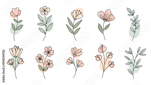 Collection of delicate hand-drawn flowers and leaves with soft color accents for an organic and botanical minimalist illustration.
