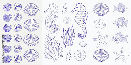 Vintage blue sketches of seashells seahorses fish and marine plants
