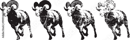 Running bighorn sheep set wild mountain rams in motion, detailed black and white silhouettes wildlife nature elements
