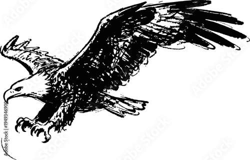 Eagle with spread wings swooping down, powerful bird of prey descending in flight