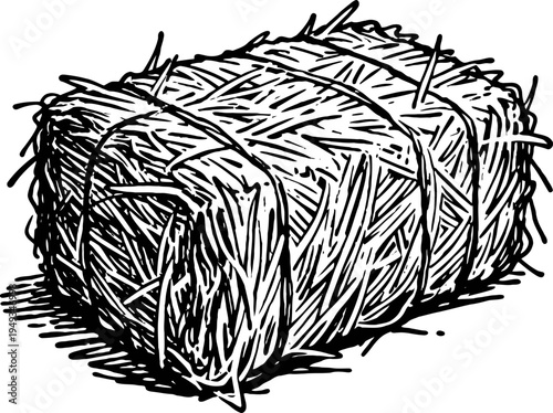 Rectangular hay bale with rough texture and tied twine in vintage engraving
