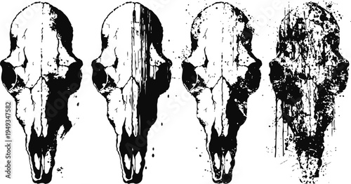Illustration of wolf skull in four different grunge styles black and white design