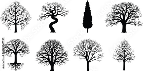 Bare tree silhouette set featuring diverse branch structures, roots, and deciduous winter trees for landscape design and environmental nature projects. (Exactly 20 words)