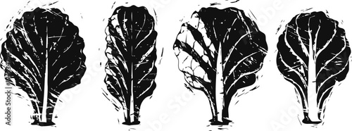 Black and white silhouettes of four different leafy greens with detailed vein patterns