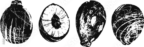 black and white coconut illustrations whole, halved, and opened coconut fruit sketches