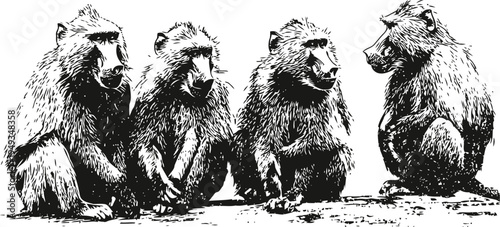 Four baboons sitting together in a row, detailed black and white wildlife illustration