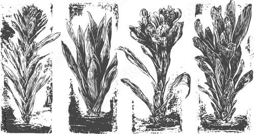 Vintage botanical prints of various plants with detailed leaves and stems in monochrome