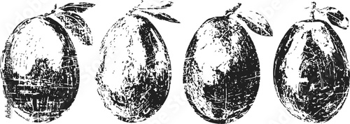 fresh mango fruits with leaves isolated on white background tropical ripe sweet mango close up