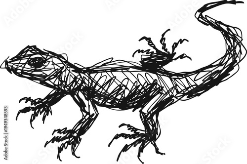 hand drawn lizard sketch in black ink with detailed claws and tail, rough artistic reptile illustration