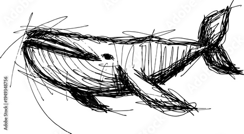 Black sketch drawing of a whale with detailed line art and dynamic strokes