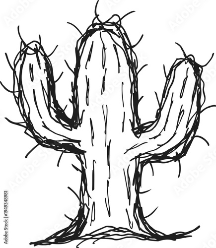 Hand drawn cactus illustration with spines simple black and white desert plant sketch