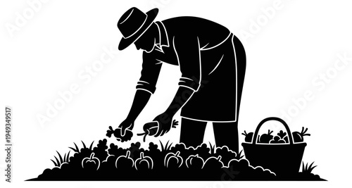 A silhouette of a farmer harvesting produce from a garden patch