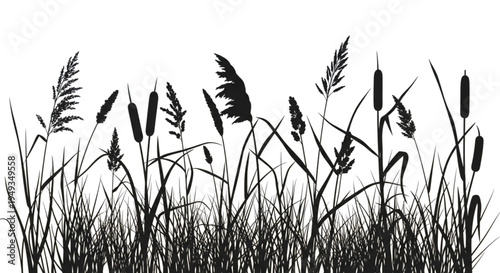Grass silhouette vector illustration of wild field plants on white background representing nature and agriculture