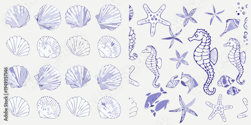 Delicate blue line art illustration of seashells starfish and seahorses