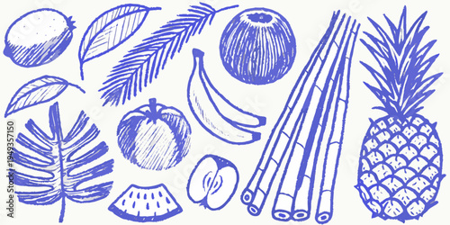 Hand drawn tropical fruits and foliage in blue line art style