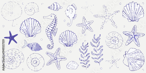Hand drawn illustration of various marine life and seashells in blue tones