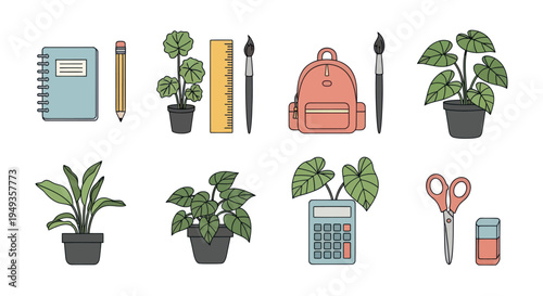 School supplies and plants vector illustration