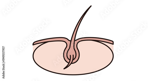 Human Belly Button Anatomy Closeup.