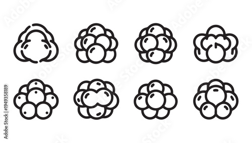 Blackberry Icon Set Outline Fruit Graphics Healthy Food Symbols Vector Blackberry Illustrations