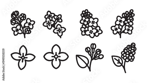 Botanical Line Art Collection: Lilac Flower Sprigs and Blossoms Iconography