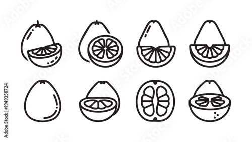 Citrus Fruit Slices Collection Line Art Icons Isolated on White Background