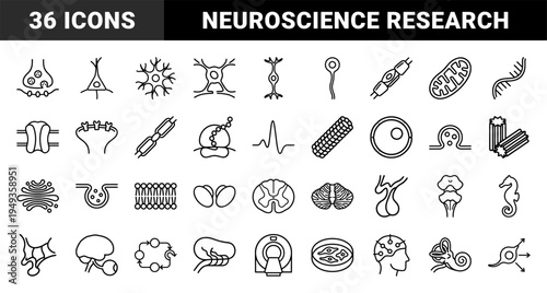 Neuroscience and cellular biology research elements for medical education. Technical monoline pictograms featuring neurons, brain structures, and microscopic anatomy.