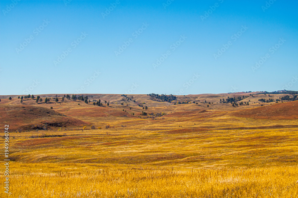 Fototapeta premium Beautiful prairie landscape at Custer State Park in South Dakota.