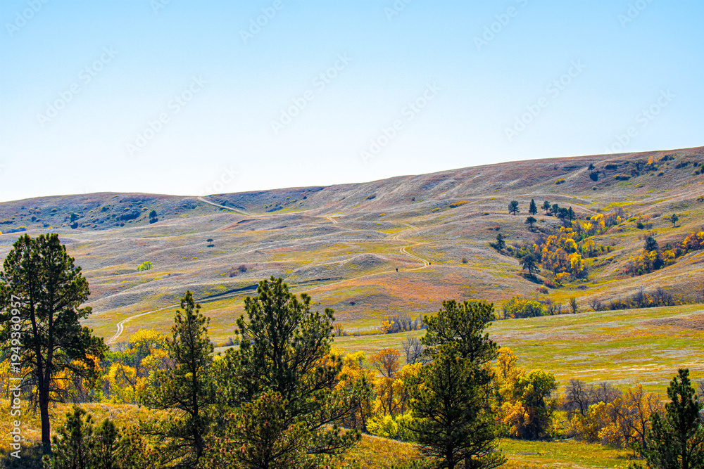 Obraz premium Beautiful prairie landscape at Custer State Park in South Dakota.