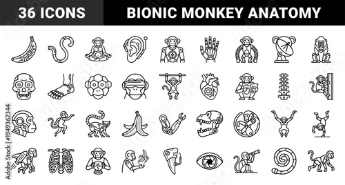 Cybernetic primate and bionic evolution line art. Technical monoline icons featuring robotic monkeys, mechanical anatomy, and futuristic biotech concepts.