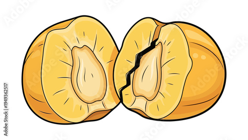 Cut Open Fresh Apricots.