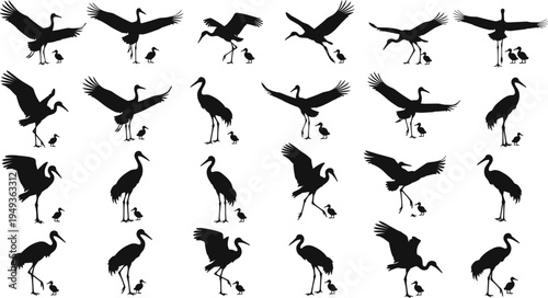Crane bird silhouette collection with flying standing and walking poses with chick isolated on white background wildlife vector illustration for nature design