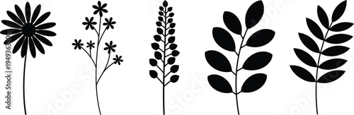Wildflower and botanical plant silhouette set with various floral stems leaves and blossoms isolated on white background vector illustration for nature design