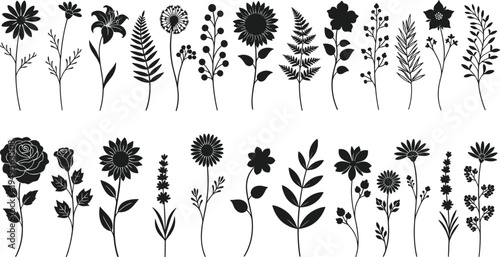 Wildflower and botanical plant silhouette set with various floral stems leaves and blossoms isolated on white background vector illustration for nature design