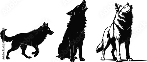 Wolf silhouette set featuring standing running and howling wolves isolated on white background wildlife vector illustration for nature design logo tattoo and stencil