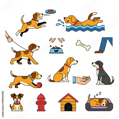 Cartoon Dogs Playing, Swimming, Training, Sleeping & More - Vector Set