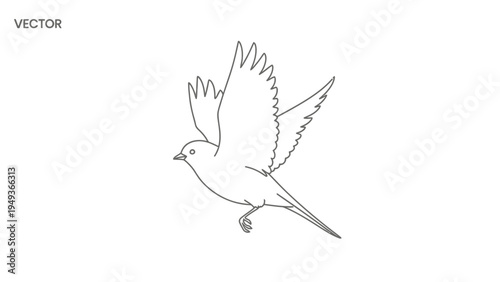 Bird in Flight Illustration.