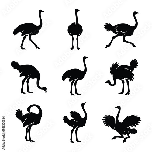 Ostrich Silhouette Collection, Flightless Bird Poses Set, Vector Icons