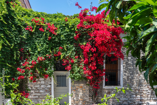 Panorama of The town of Skiathos, Sporades, Thessaly, Greece