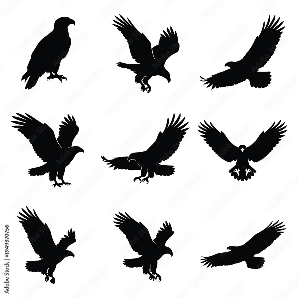 Obraz premium Bald Eagle Silhouette Set - 9 Flying and Perching Raptor Vector Icons