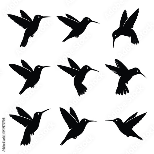 Hummingbird Silhouettes Set - Minimalist Flying Bird Icons