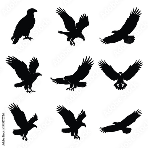 Bald Eagle Silhouette Set - 9 Flying and Perching Raptor Vector Icons