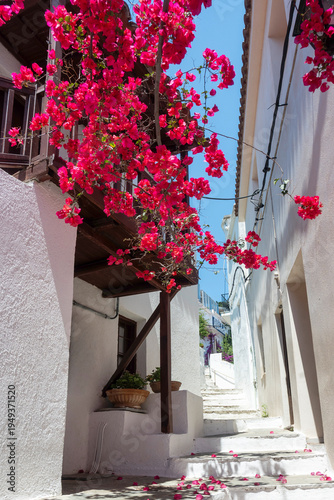 Εκτύπωση καμβά Panorama of The town of Skiathos, Sporades, Thessaly, Greece
