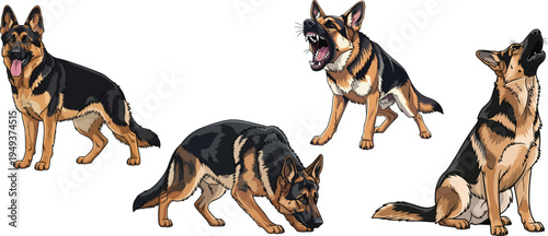 German Shepherd dog alert barking crouching sitting standing pose set